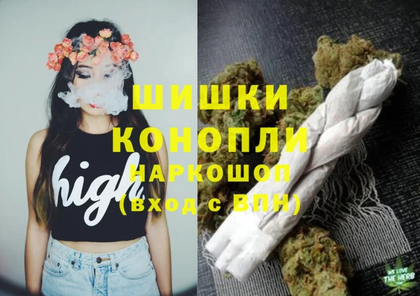 ГАЛЛЮЦИНОГЕННЫЕ ГРИБЫ Бронницы