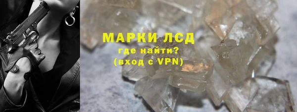 ПСИЛОЦИБИНОВЫЕ ГРИБЫ Бородино