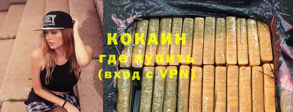 ПСИЛОЦИБИНОВЫЕ ГРИБЫ Бородино